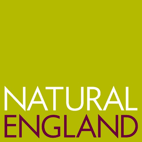 Image for Conservation sessions with Natural England 2