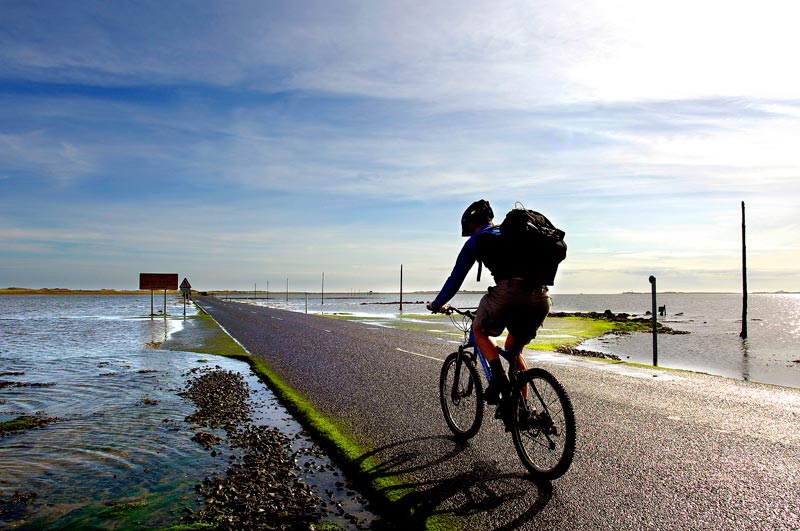 Crossing the Holy Island causeway